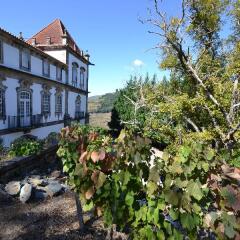 Отель Casa das Torres de Oliveira фото 8