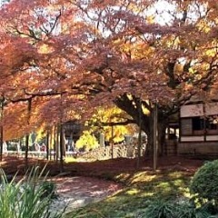 Отель Wbf Fukuoka Tenjin Minami Фукуока фото 3
