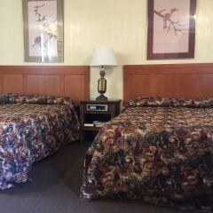 Отель Falls Motel США, Ниагара-Фолс - отзывы, цены и фото номеров - забронировать отель Falls Motel онлайн комната для гостей фото 2
