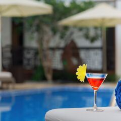 Vinh Hung 2 City Hotel с домашними животными