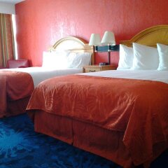 Отель Dolphin Beach Resort комната для гостей фото 5