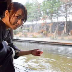 Отель Akita Art Village Onsen Yupopo Дайсен спа фото 2