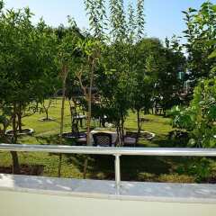 Elis Beach Hotel - All Inclusive Сиде балкон