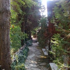 Отель Nimpha Bungalows Варна приотельная территория фото 2