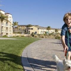 Отель Dolphin Bay Resort and Spa спортивное сооружение