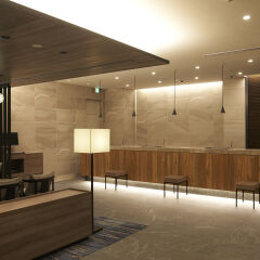 Отель Sotetsu Fresa Inn Ginza-Nanachome интерьер отеля