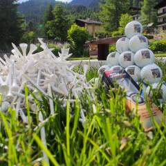 Отель Edelweiss Швейцария, Давос - отзывы, цены и фото номеров - забронировать отель Edelweiss онлайн фото 9