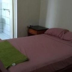 Green Bamboo Guest House in Freetown, Sierra Leone from 120$, photos, reviews - zenhotels.com guestroom photo 2