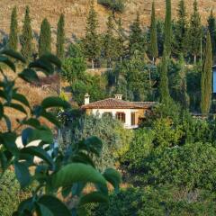 Отель Terrace Houses Sirince - Fig, Olive and Grapevine фото 5