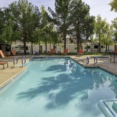 Отель Arizona Charlie's Boulder - Casino Hotel, Suites, & RV Park США, Лас-Вегас - отзывы, цены и фото номеров - забронировать отель Arizona Charlie's Boulder - Casino Hotel, Suites, & RV Park онлайн бассейн фото 3