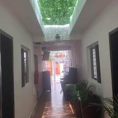 Отель Xahtal Alux Hostal Мексика, Плая-дель-Кармен - отзывы, цены и фото номеров - забронировать отель Xahtal Alux Hostal онлайн фото 8