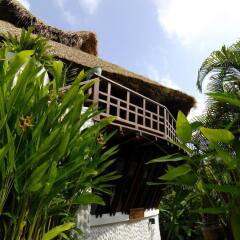 Отель Thipwimarn Resort Koh Tao Таиланд, Остров Тау - отзывы, цены и фото номеров - забронировать отель Thipwimarn Resort Koh Tao онлайн помещение для мероприятий