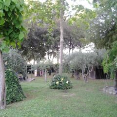Отель B&B Il Giardino Dei Limoni Монтекассино фото 5