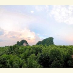 Отель The Kim Таиланд, Краби - отзывы, цены и фото номеров - забронировать отель The Kim онлайн балкон