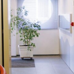 Отель Neutralia Бельгия, Остенде - отзывы, цены и фото номеров - забронировать отель Neutralia онлайн интерьер отеля