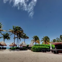 Отель The Elements Oceanfront & Beachside Condo Hotel Мексика, Плая-дель-Кармен - отзывы, цены и фото номеров - забронировать отель The Elements Oceanfront & Beachside Condo Hotel онлайн фото 5