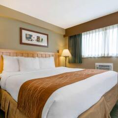 Отель Comfort Inn & Suites North Vancouver Канада, Аптаун - отзывы, цены и фото номеров - забронировать отель Comfort Inn & Suites North Vancouver онлайн комната для гостей фото 5