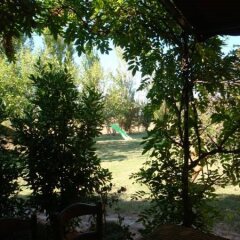 Отель Azienda Agrituristica Santissima Trinità Италия, Будрио - отзывы, цены и фото номеров - забронировать отель Azienda Agrituristica Santissima Trinità онлайн фото 2