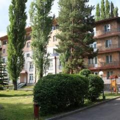 Отель Park Resort Aghveran Армения, Агверан - отзывы, цены и фото номеров - забронировать отель Park Resort Aghveran онлайн фото 9