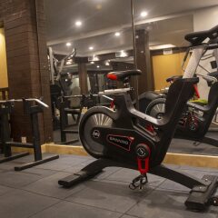 Отель Temple Tree Resort & Spa Непал, Покхара - отзывы, цены и фото номеров - забронировать отель Temple Tree Resort & Spa онлайн фитнесс-зал фото 4