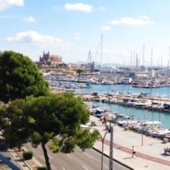 Отель in Palma de Mallorca, Mallorca 102347 Испания, Пальма-де-Майорка - отзывы, цены и фото номеров - забронировать отель in Palma de Mallorca, Mallorca 102347 онлайн балкон