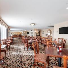 Отель Arlington Court Suites Hotel США, Арлингтон - отзывы, цены и фото номеров - забронировать отель Arlington Court Suites Hotel онлайн развлечения