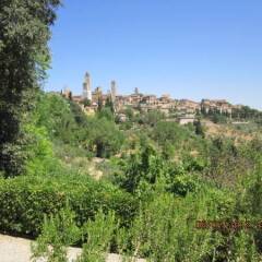 Отель Agriturismo Il Colto Италия, Сан-Джиминьяно - отзывы, цены и фото номеров - забронировать отель Agriturismo Il Colto онлайн фото 10