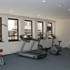 Отель Spa Hotel Orpheus Болгария, Пампорово - отзывы, цены и фото номеров - забронировать отель Spa Hotel Orpheus онлайн фитнесс-зал фото 2