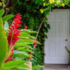 Отель Bungalows La Madera фото 3