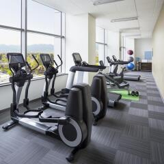 Отель Element Vancouver Metrotown Канада, Бурнаби - отзывы, цены и фото номеров - забронировать отель Element Vancouver Metrotown онлайн фитнесс-зал