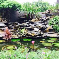 Ha Long Ginger Homestay - Hostel фото 5