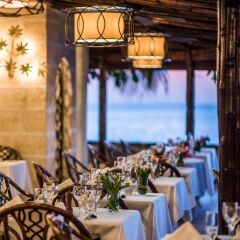 Отель Coral Reef Club