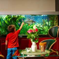 Hotel Concorde München в номере