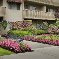 Отель Royal Scot Hotel & Suites Канада, Виктория - отзывы, цены и фото номеров - забронировать отель Royal Scot Hotel & Suites онлайн фото 9