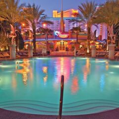 Flamingo Las Vegas - Hotel & Casino бассейн