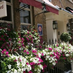 Blandford Hotel вид на фасад фото 2