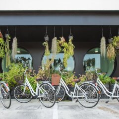 Blu Monkey Hub and Hotel Phuket Пхукет спортивное сооружение
