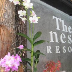 Отель The Nest Resort интерьер отеля фото 2
