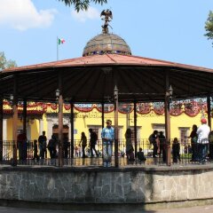 Отель Casa Aldama Мексика, Мехико - отзывы, цены и фото номеров - забронировать отель Casa Aldama онлайн спортивное сооружение