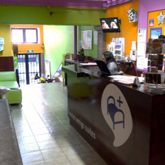 Отель Hostal Amigo Suites Мехико спа фото 2