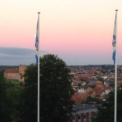 Отель Danhostel Kolding
