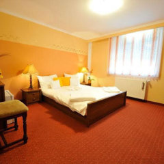 Pensiunea Sofia in Timisoara, Romania from 66$, photos, reviews - zenhotels.com guestroom photo 4