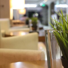 Air Boss Hotel Турция, Стамбул - отзывы, цены и фото номеров - забронировать отель Air Boss Hotel онлайн интерьер отеля