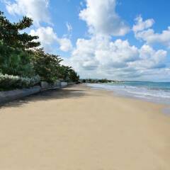 Отель BayWatch,Runaway Bay/Jamaica Villas 5BR пляж
