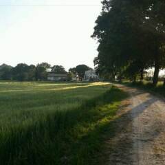 Отель Agriturismo Azienda Agricola Alfieri Озимо спортивное сооружение