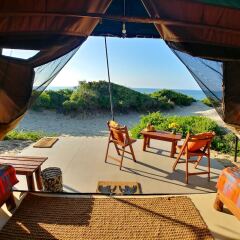 Отель Back of Beyond Dune Camp - Yala фото 4