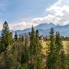 Отель Apartamenty Sun&snow Butorowy Residence Косцелиско фото 5