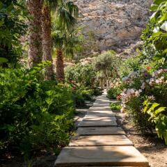 Отель Santorini Mystique Garden Греция, Остров Санторини - отзывы, цены и фото номеров - забронировать отель Santorini Mystique Garden онлайн фото 5