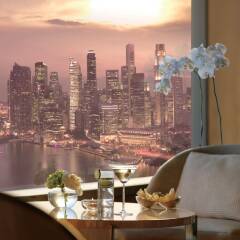 Отель The Ritz-Carlton, Millenia Singapore комната для гостей фото 10