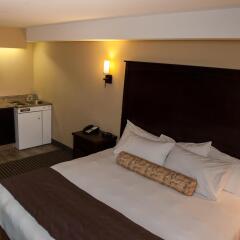 Отель Best Western Maple Ridge Hotel Канада, Мэйпл-Ридж - отзывы, цены и фото номеров - забронировать отель Best Western Maple Ridge Hotel онлайн удобства в номере